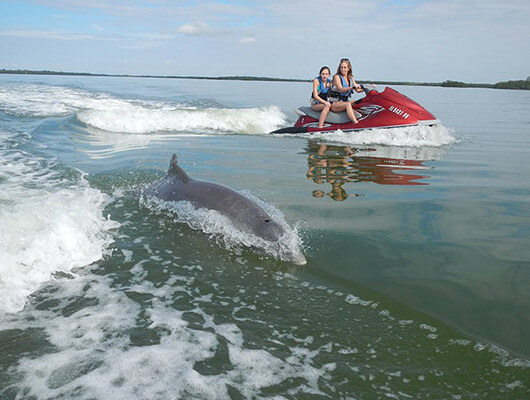 fort myers dolphin tours