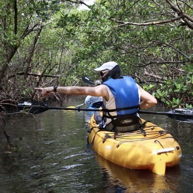 Nature and Wildlife kayak tour in Fort Myers