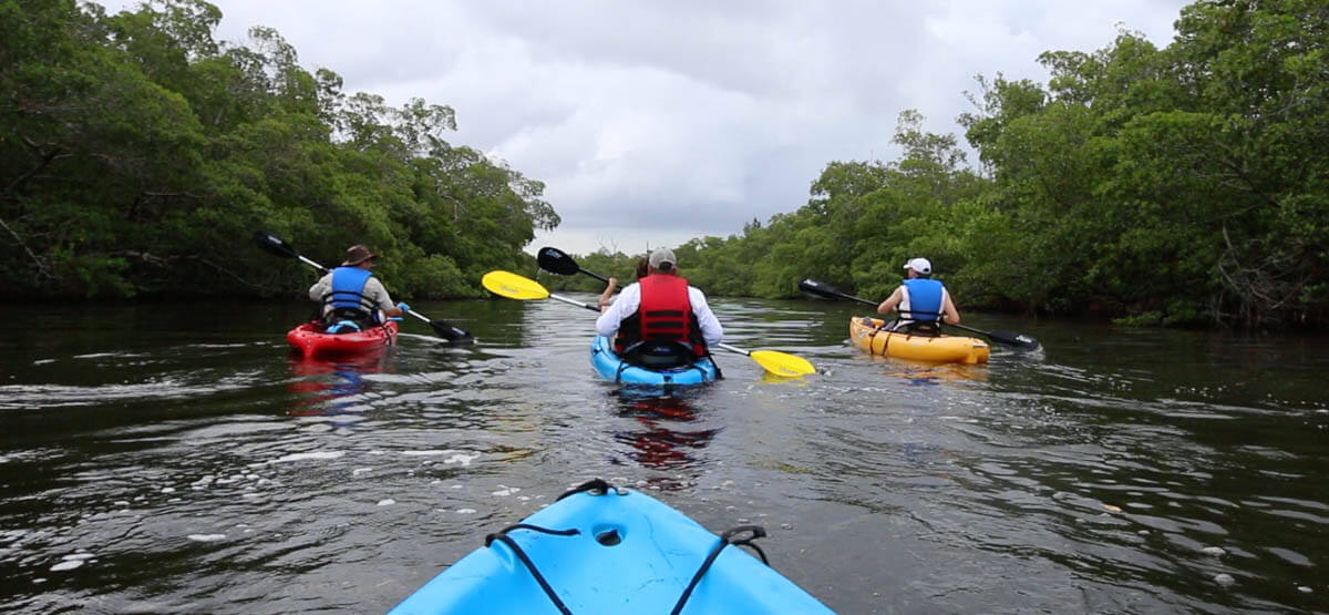 Back bay kayak tour in Fort Myers Beach