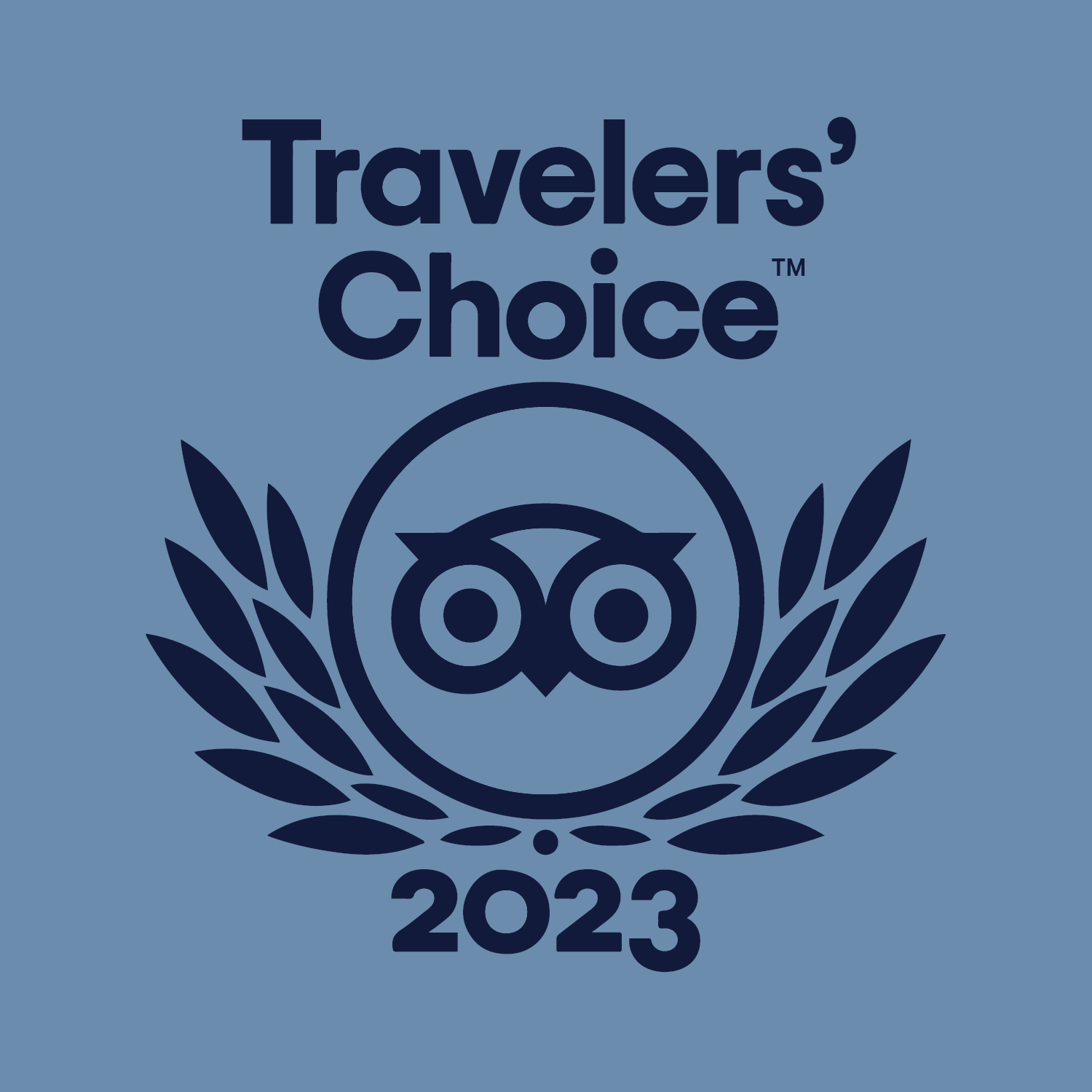 Travelers Choice 2023 Logo