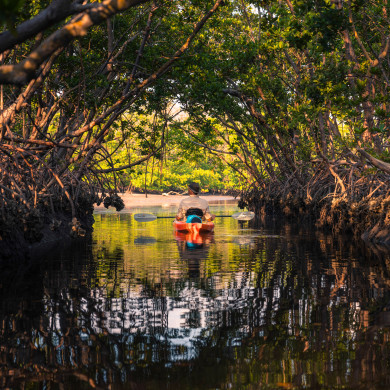 Nature and Wildlife kayak tour in Fort Myers