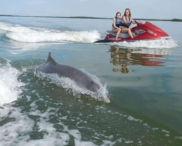 Two people on a jet ski ride across calm water as a dolphin swims alongside them near the surface.