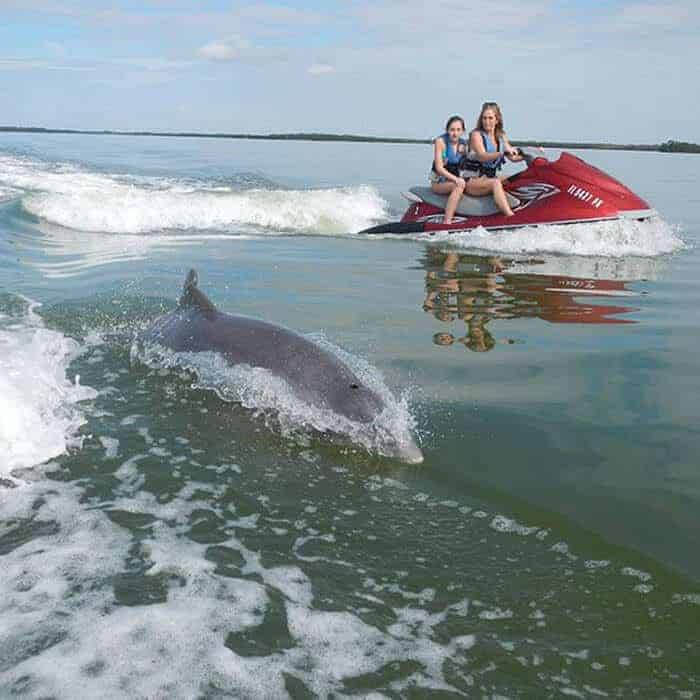 Two people on a jet ski ride across calm water as a dolphin swims alongside them near the surface.