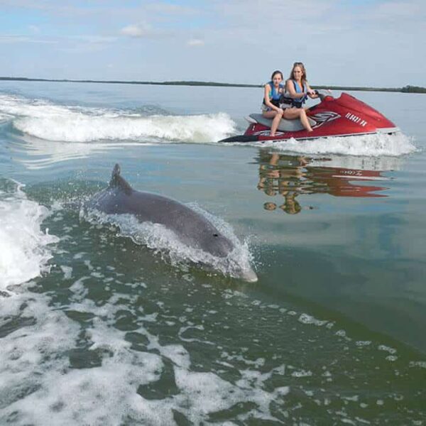 Two people ride a red jet ski on calm water while a dolphin swims alongside, partially above the surface.
