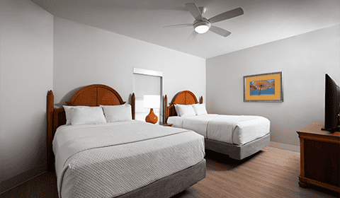 A hotel room with two double beds, white bedding, a ceiling fan, a TV on a wooden cabinet, a lamp, and a framed picture on the wall.