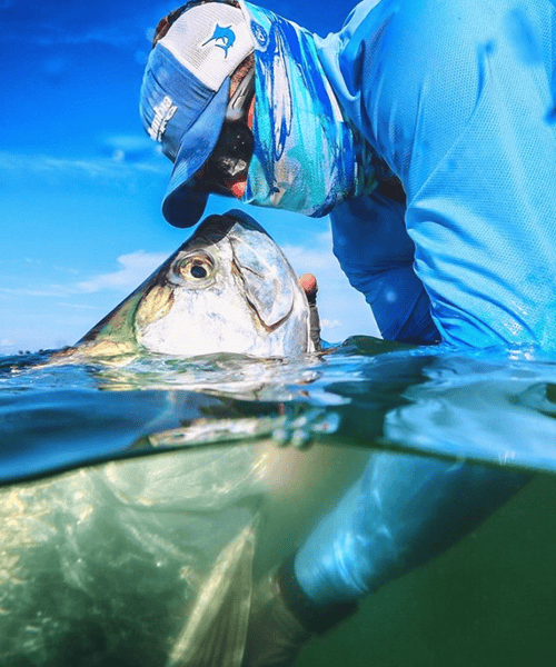 A person in blue fishing gear holds a large fish partially submerged in water, with both underwater and above-water views visible.