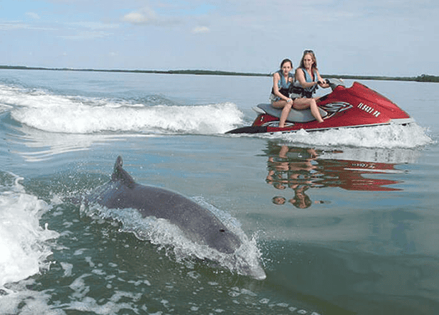 Two people ride a red jet ski on a calm body of water while a dolphin swims alongside them, partially submerged.