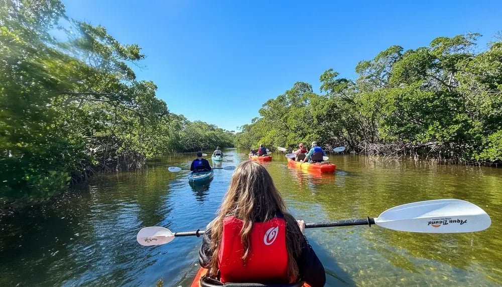 A group of people kayaking through a calm, tree-lined waterway under a clear blue sky.
