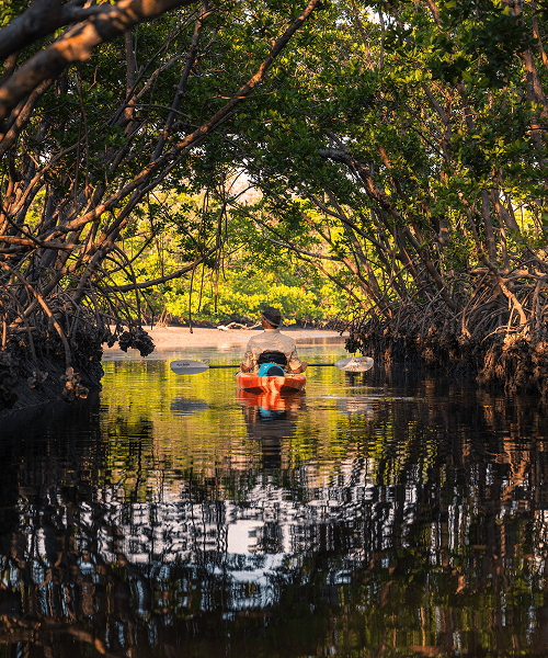 Person paddling a kayak through a narrow waterway surrounded by dense, arching mangrove trees with reflections on the water.
