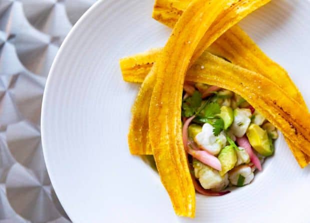 A white bowl containing ceviche garnished with cilantro and pickled onions, topped with three long, crispy plantain chips.
