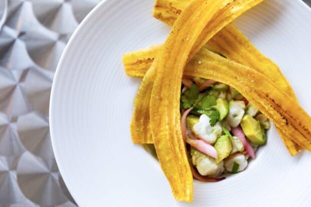 A white plate with plantain chips arranged over ceviche, garnished with cilantro and red onions.