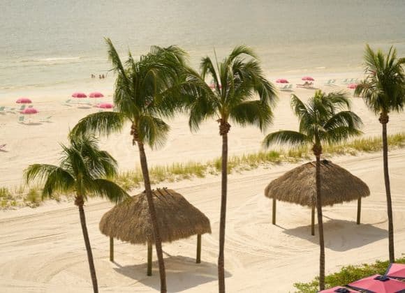 A sandy beach with palm trees and two thatched-roof cabanas, with pink umbrellas scattered along the shoreline.